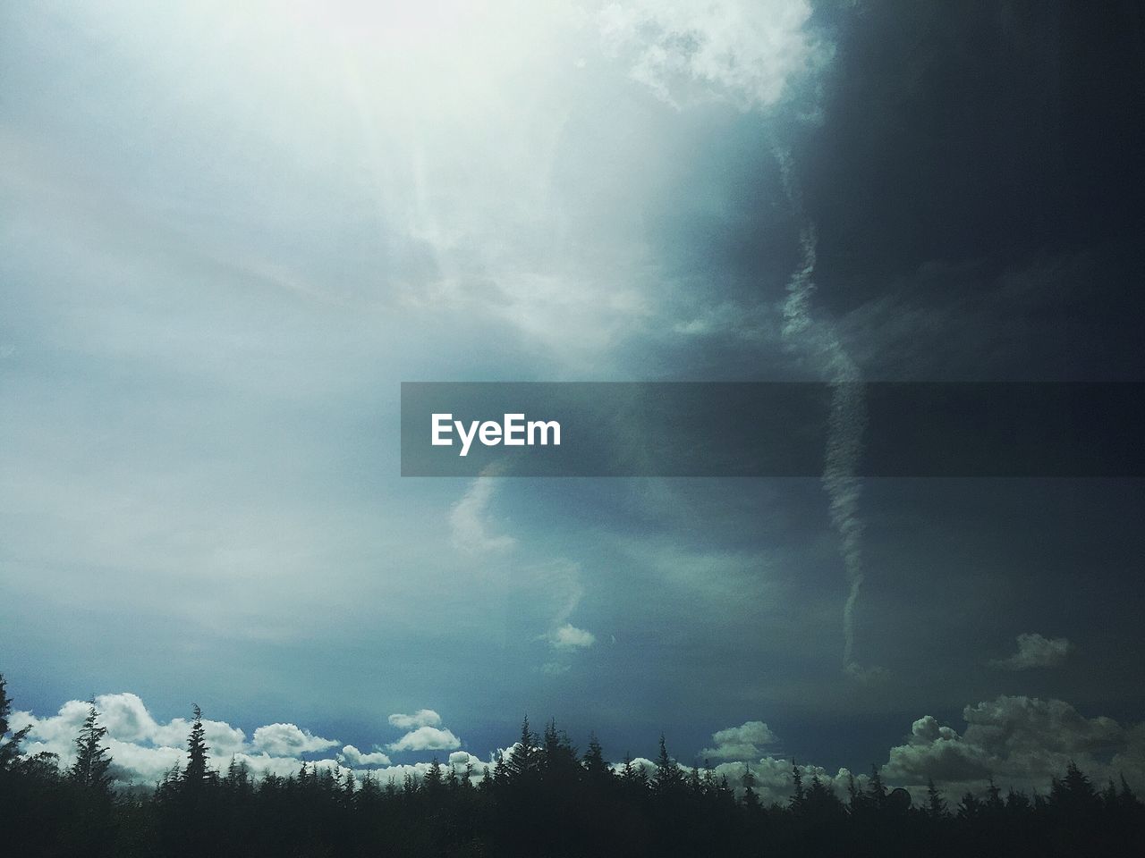 SILHOUETTE OF TREES AGAINST CLOUDY SKY