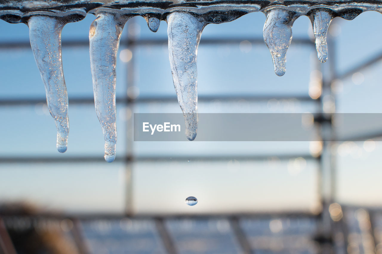 Close-up of icicles