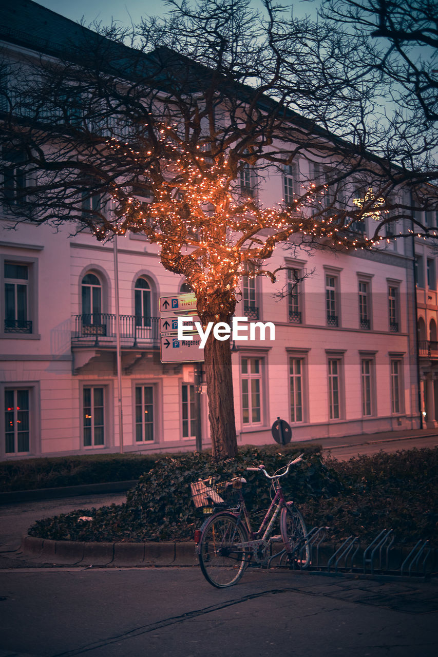 Old bicycle in front of a tree enlightened by christmas lights in front of an old office building.