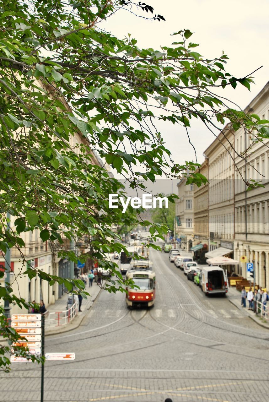 Cars on street by buildings in city