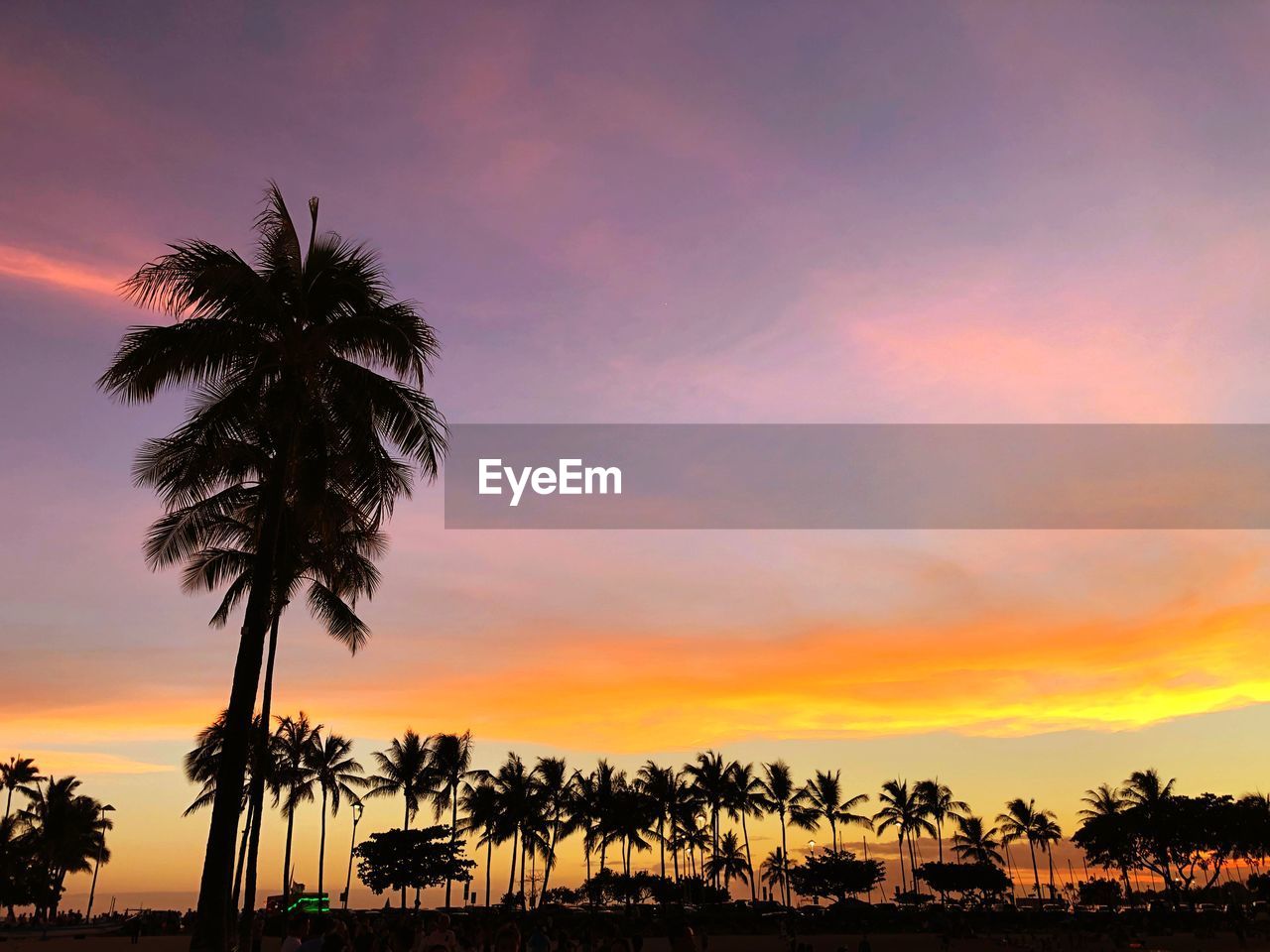 SILHOUETTE PALM TREES AGAINST ROMANTIC SKY
