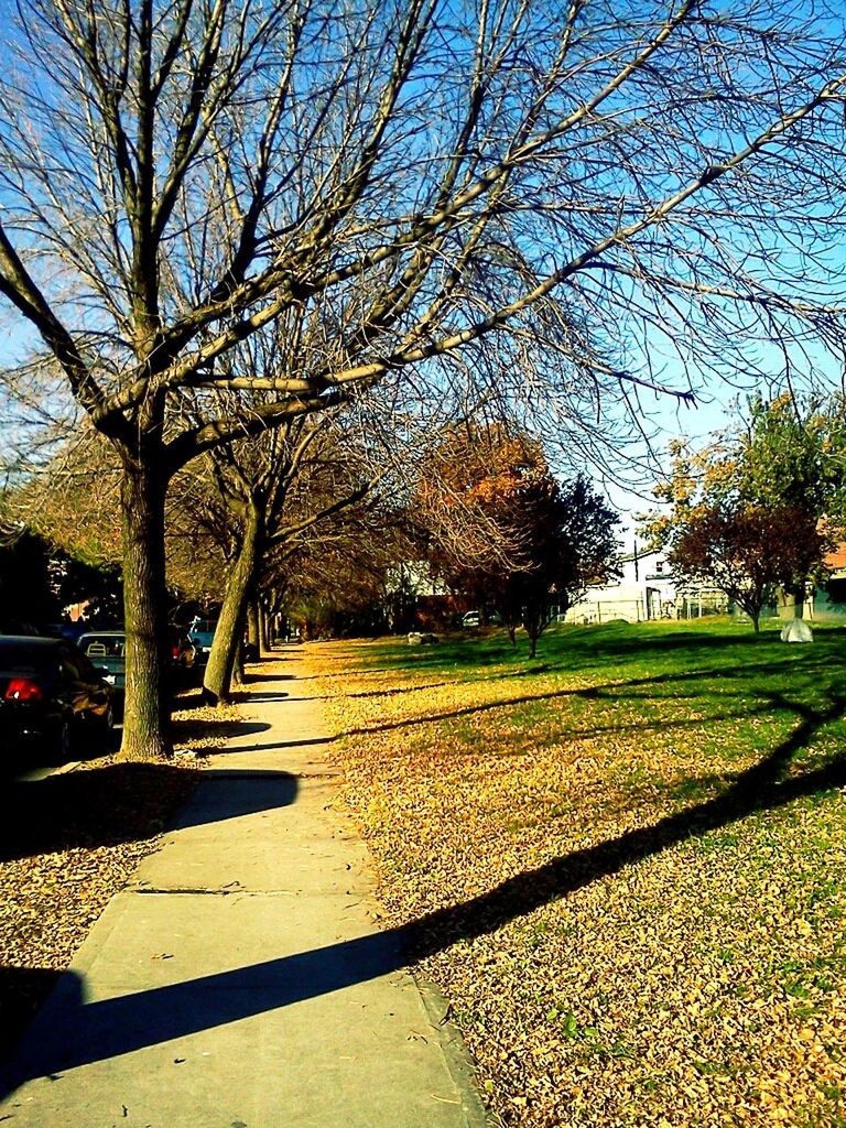 VIEW OF FOOTPATH