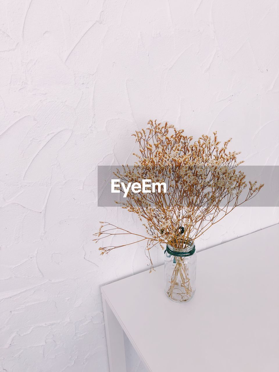 CLOSE-UP OF WHITE FLOWERS IN VASE