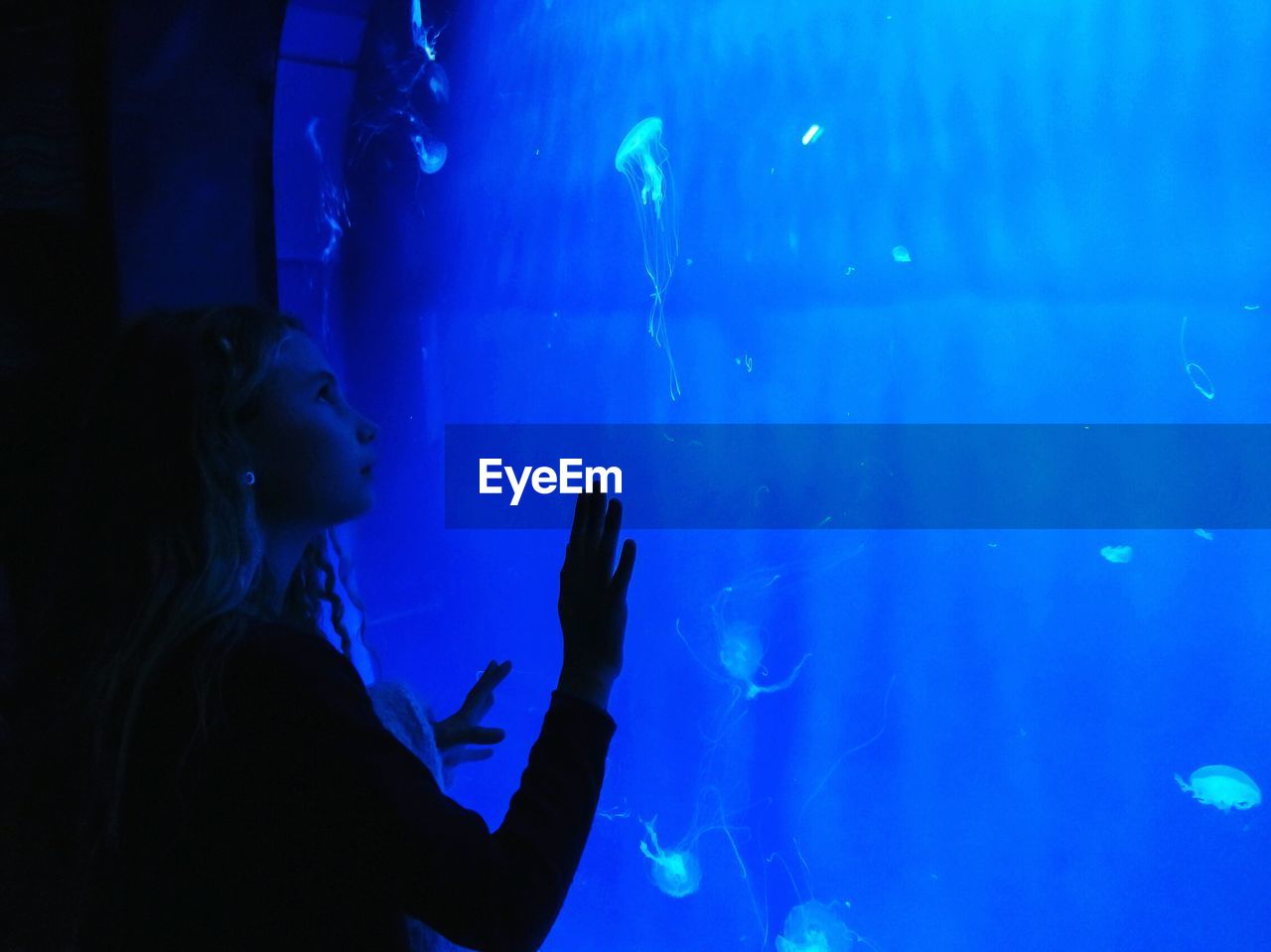 Girl looking at jellyfish in aquarium