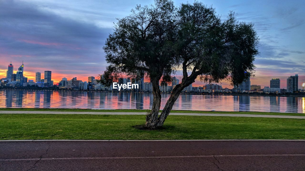 TREES BY RIVER IN PARK AGAINST SKY IN CITY