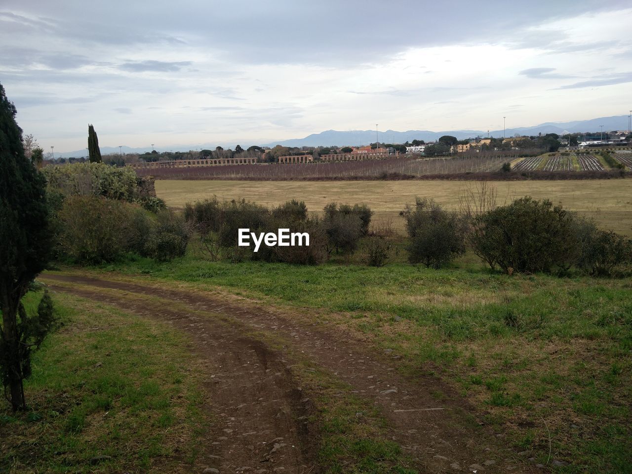 AGRICULTURAL FIELD AGAINST SKY