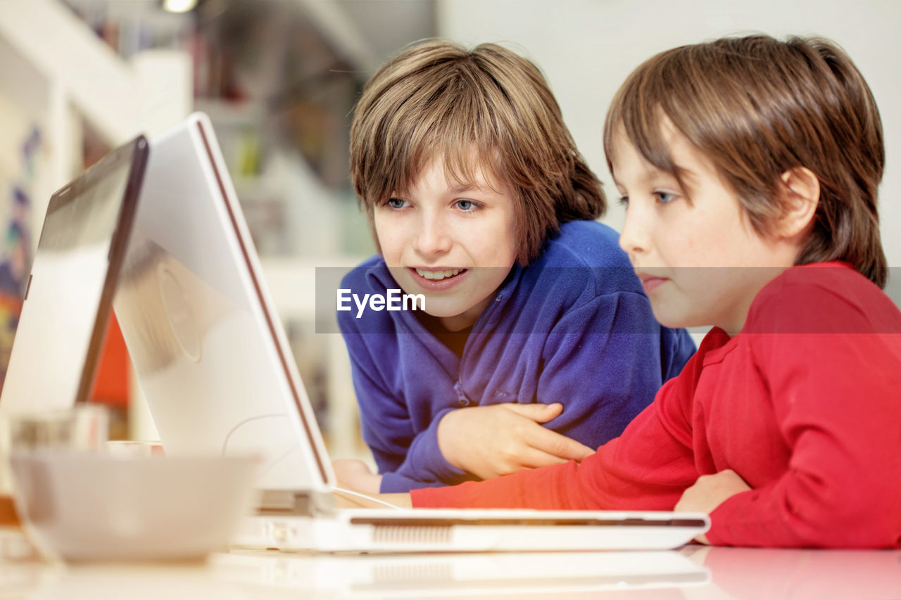 Brothers using laptop while sitting at home