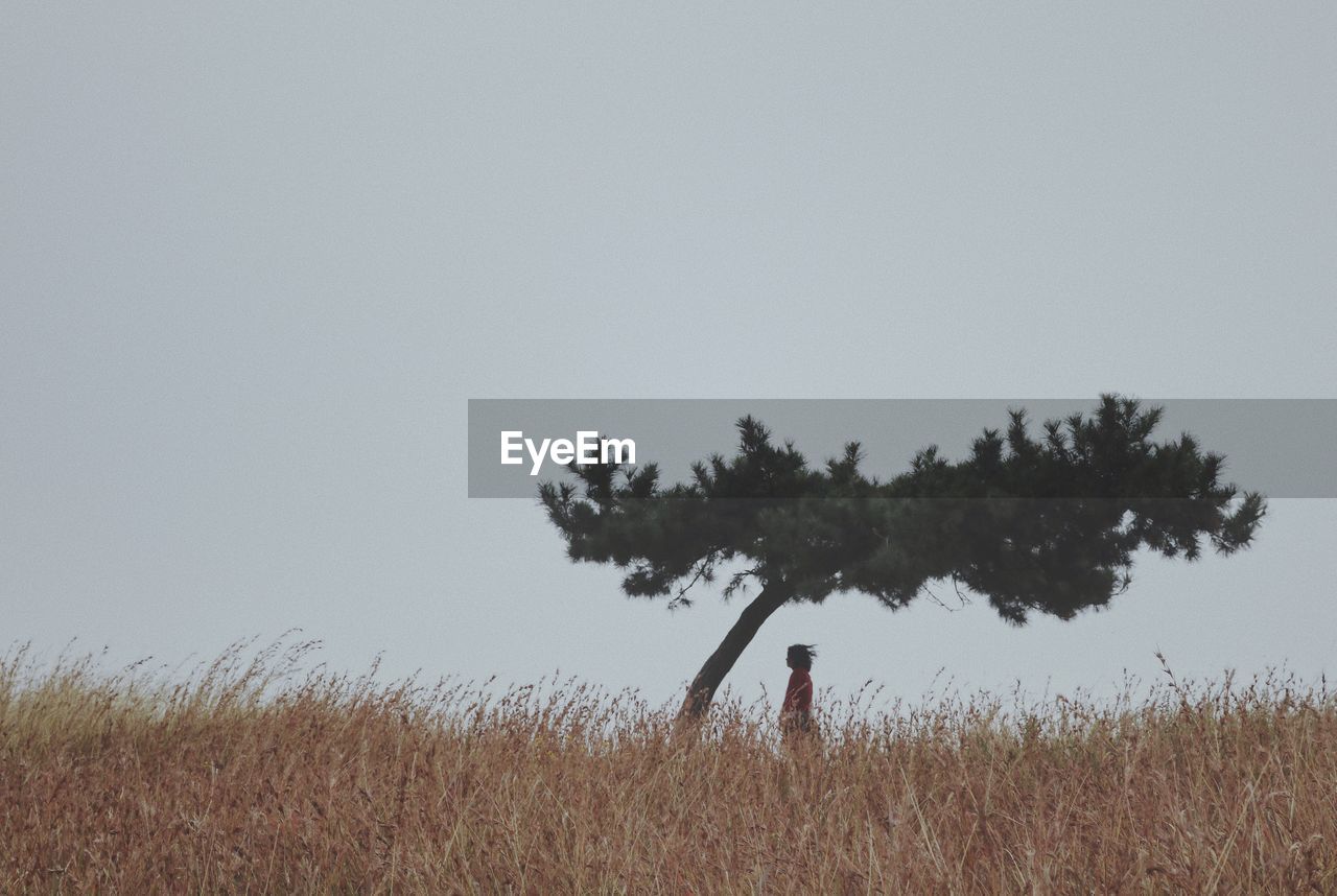 PERSON ON FIELD AGAINST CLEAR SKY