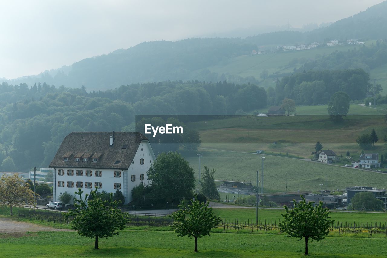 TREES AND PLANTS ON FIELD AGAINST BUILDINGS