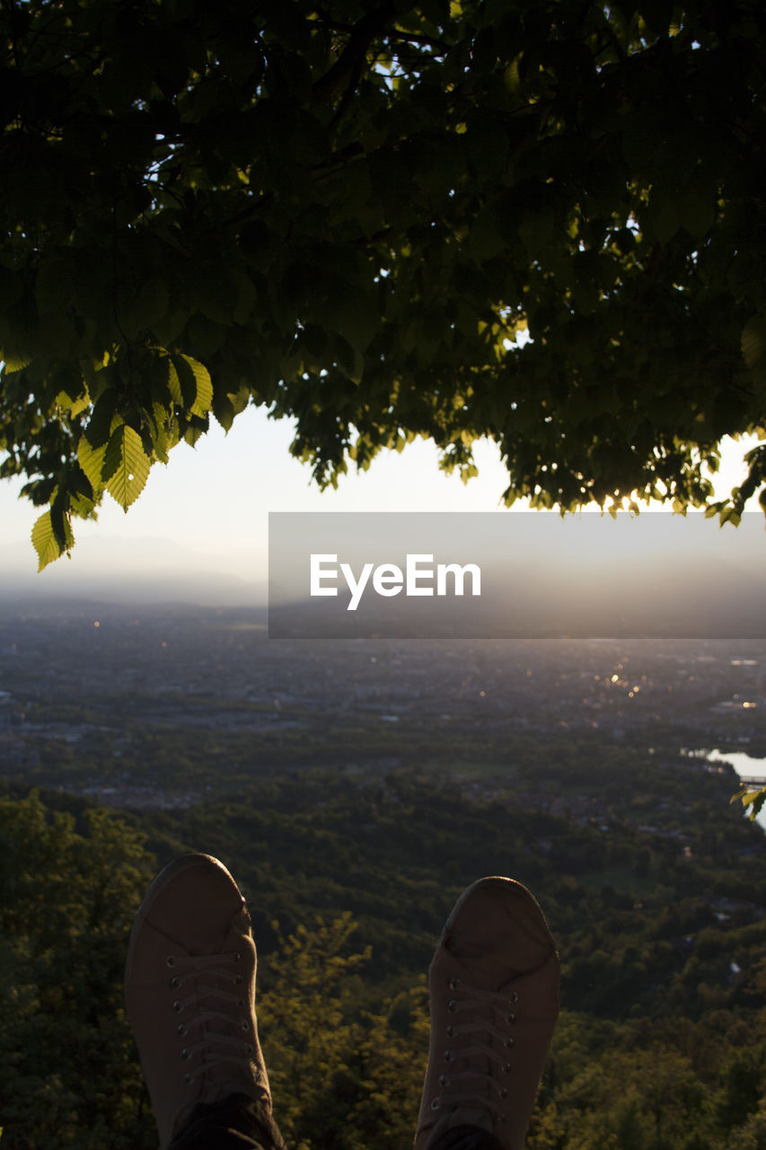 Low section of man by tree against sky