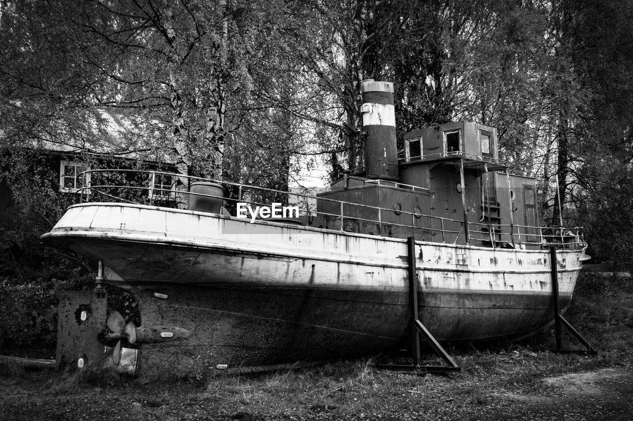 ABANDONED BOATS MOORED ON TREE