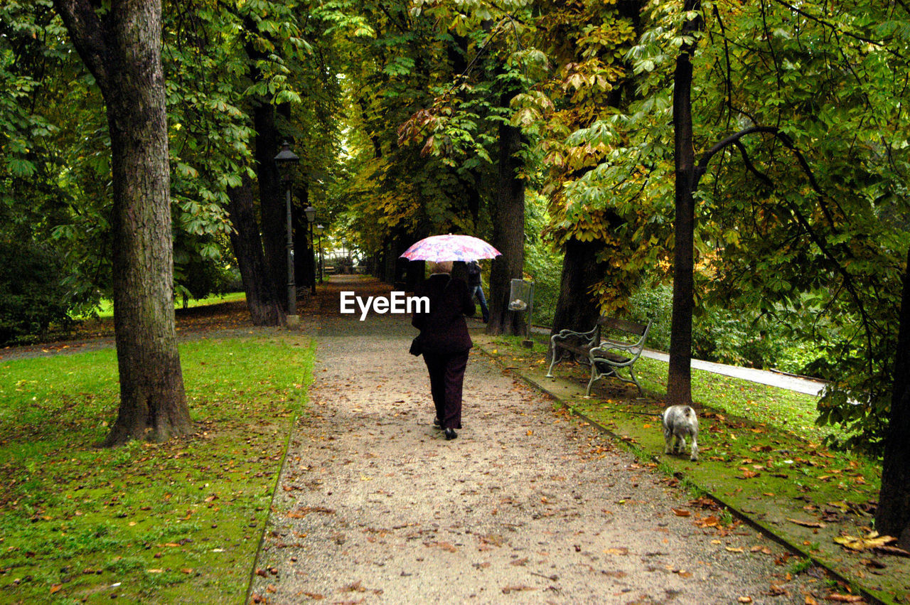 REAR VIEW OF A PERSON WALKING IN RAIN