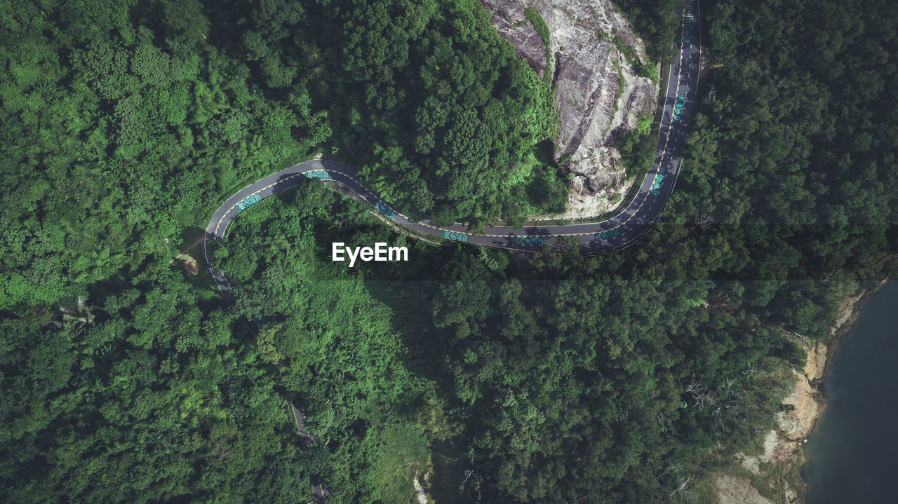 Road in green forest from top view, have bicycle way and rather curve shape