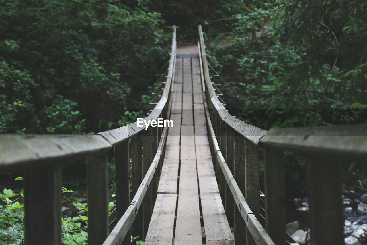 Narrow footbridge in forest