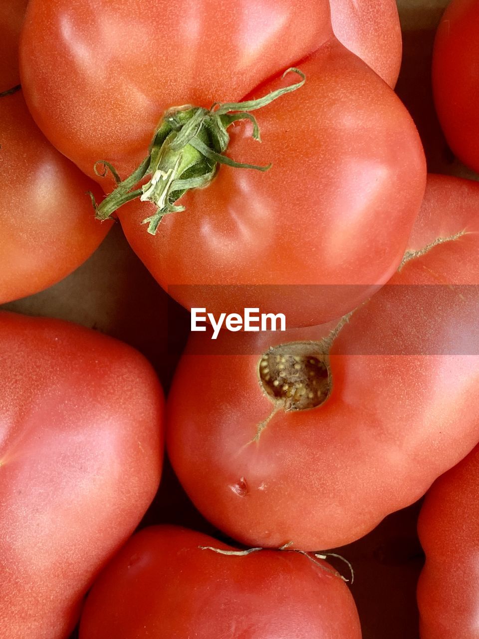 High angle view of tomatoes at the market 