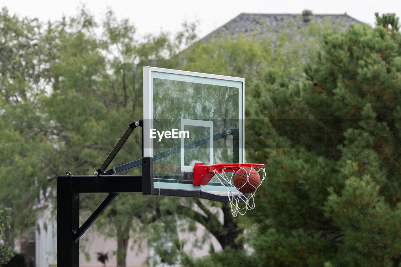 Low angle view of basketball hoop against trees