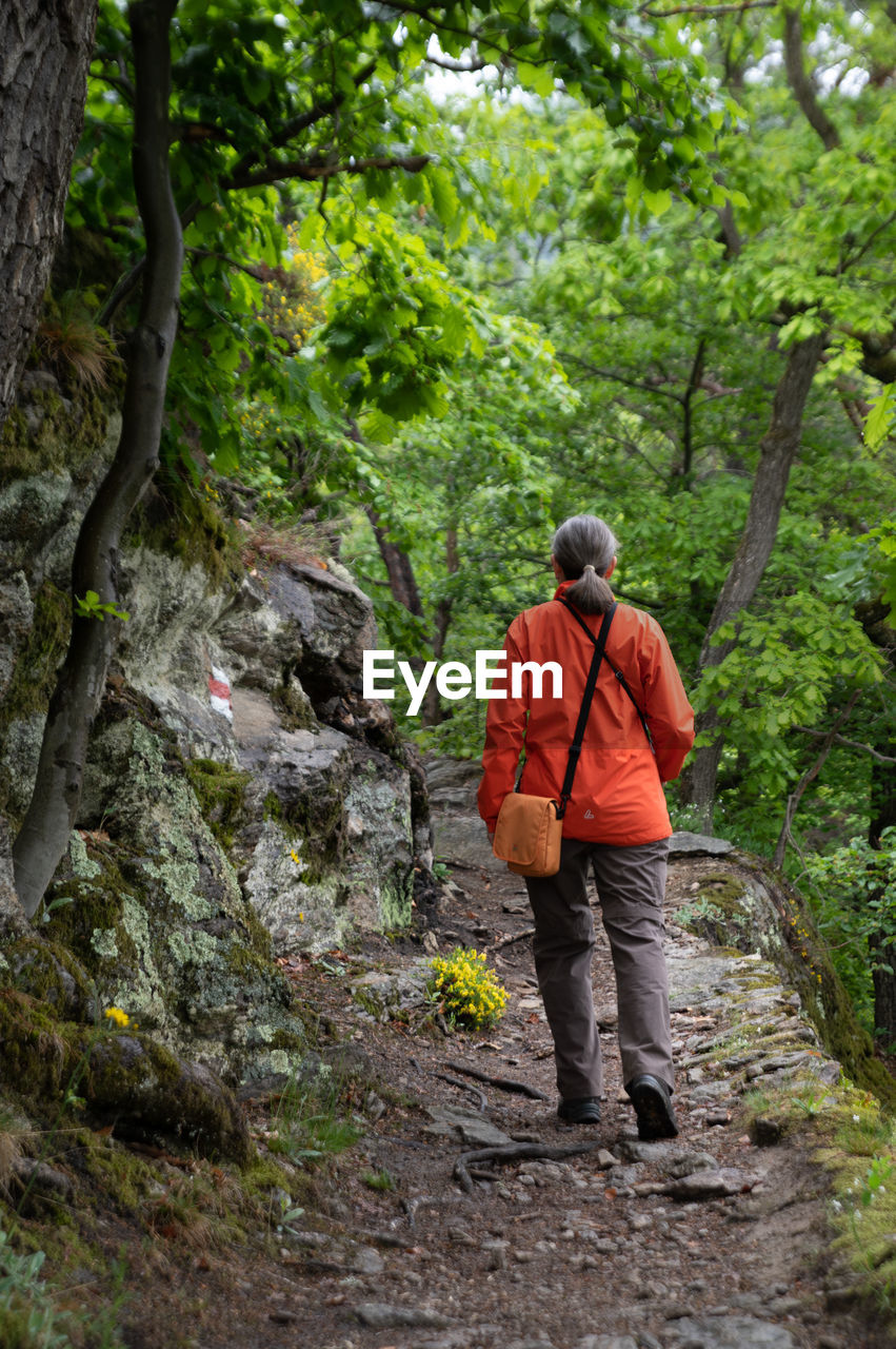 The varied route over the vogelbergsteig to the historic dürnstein castle ruins.