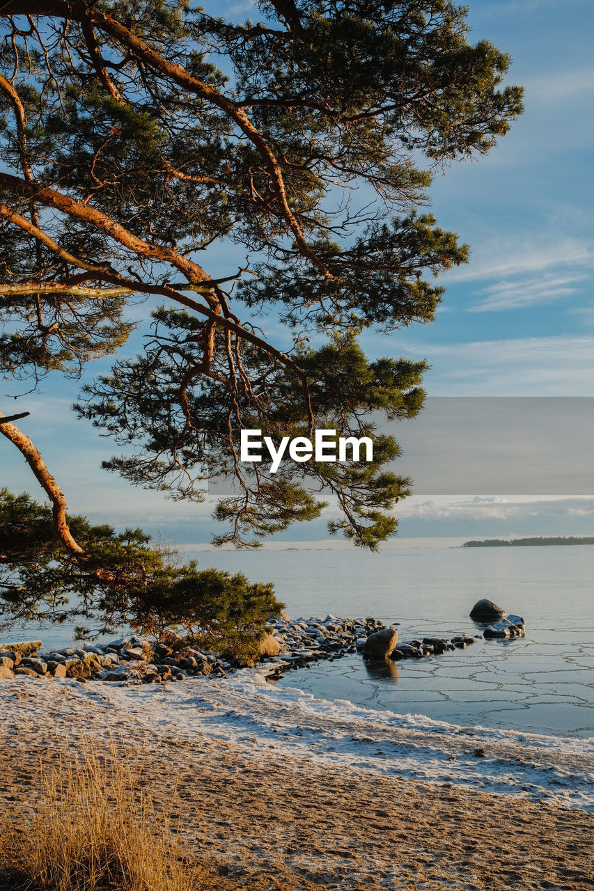 Scenic view of sea against sky in winter with frozen sea