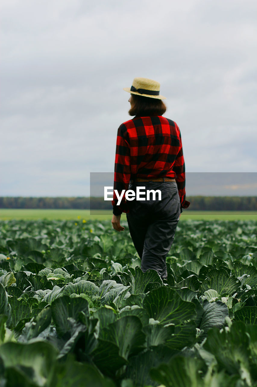 A girl walks through a cabbage field. gardening on an organic vegetable farm.