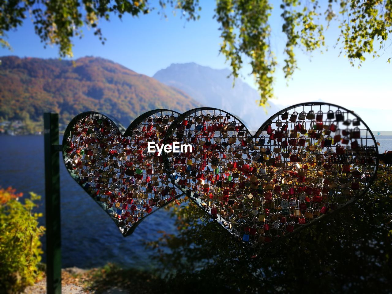 CLOSE-UP OF HEART SHAPE ON TREE AGAINST MOUNTAIN