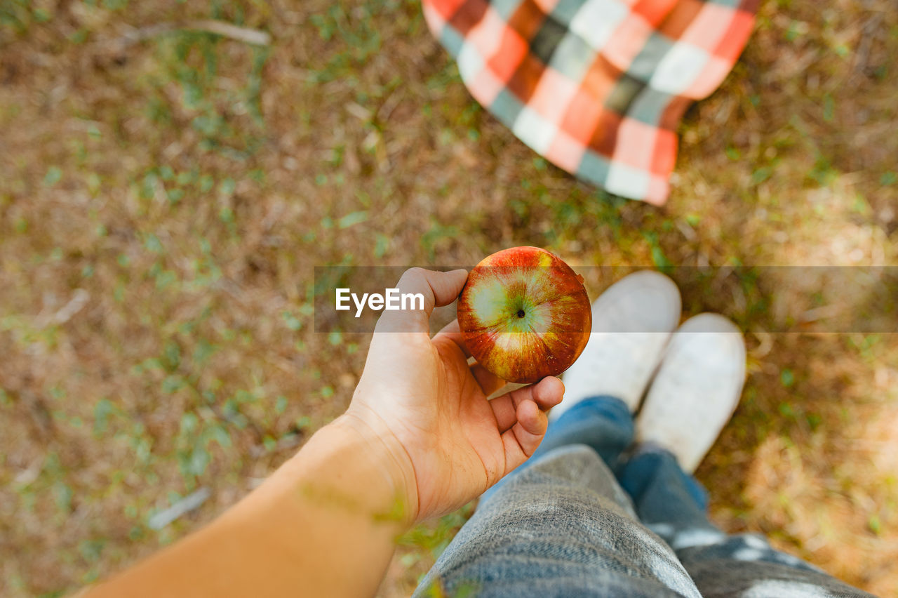 Midsection of person holding apple