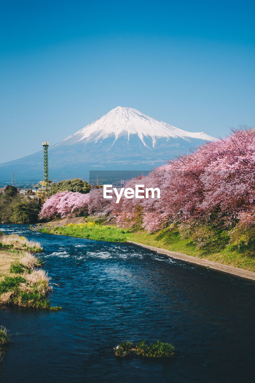 Mount fuji and cherry blossoms in spring in japanese village with calm river flow