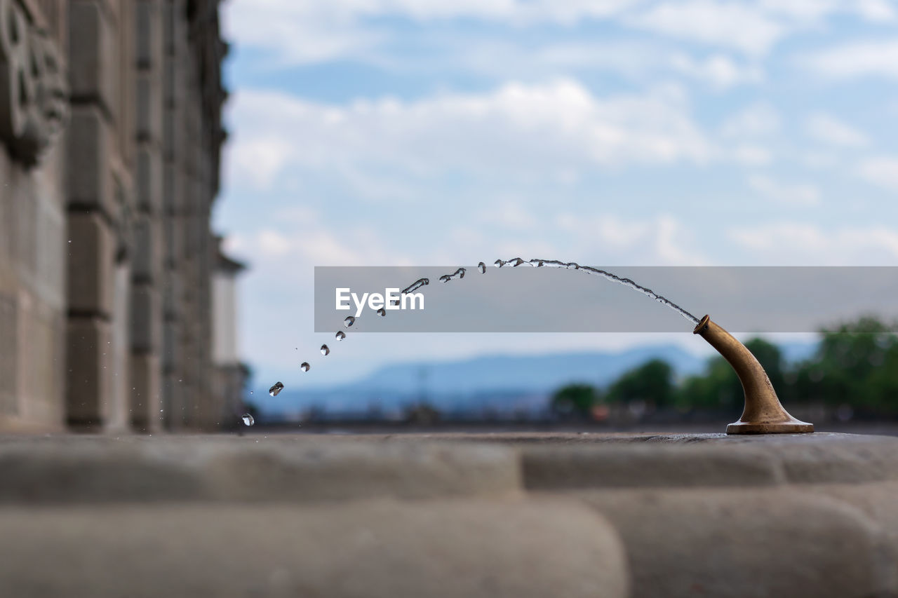 architecture, sky, cloud, bird, animal, nature, built structure, animal themes, day, animal wildlife, wildlife, no people, flying, building exterior, selective focus, outdoors, water, focus on foreground, city