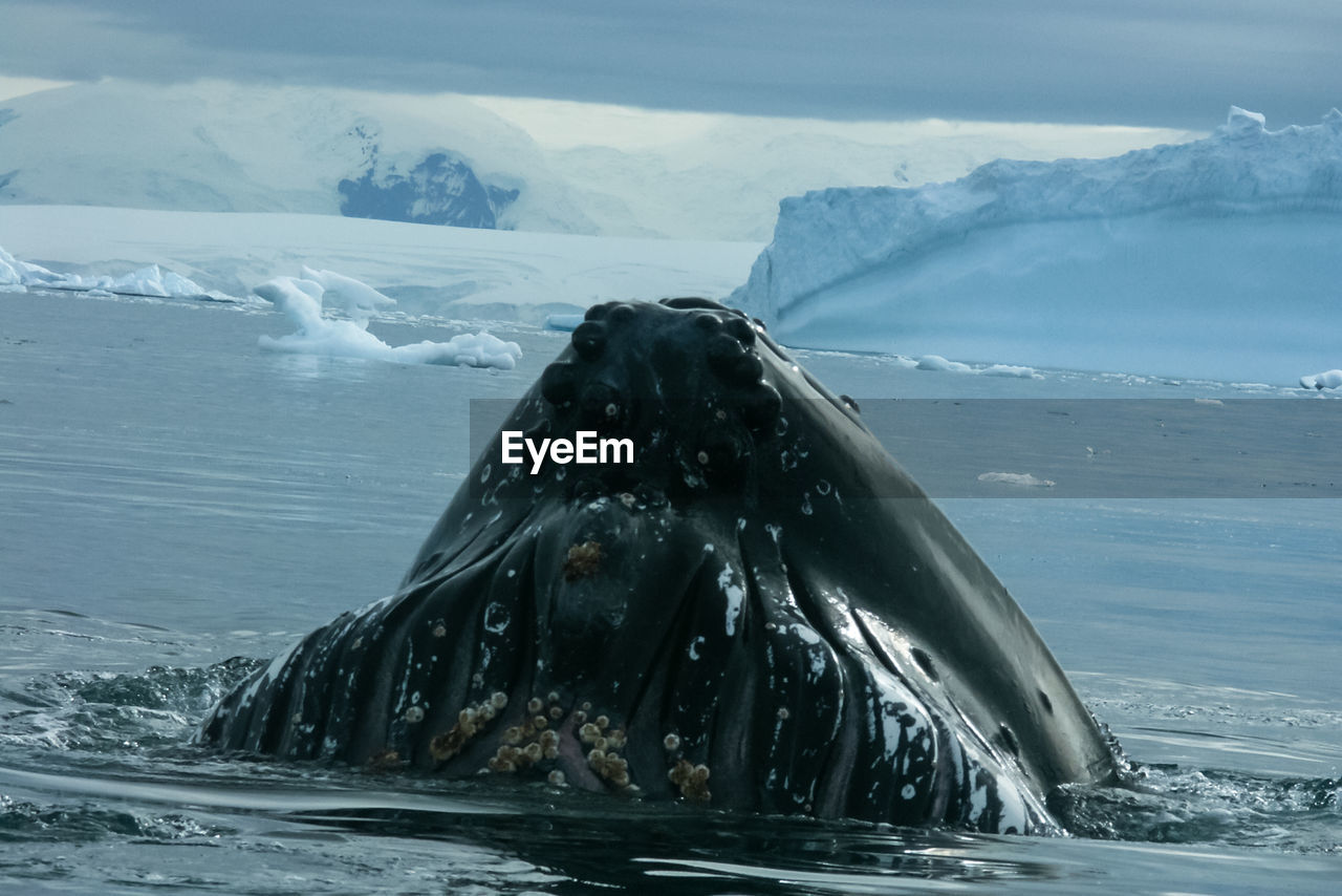 SCENIC VIEW OF SEA DURING WINTER