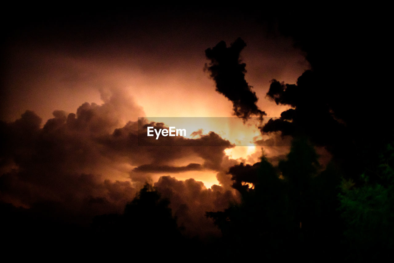 SILHOUETTE TREE AGAINST SKY AT SUNSET