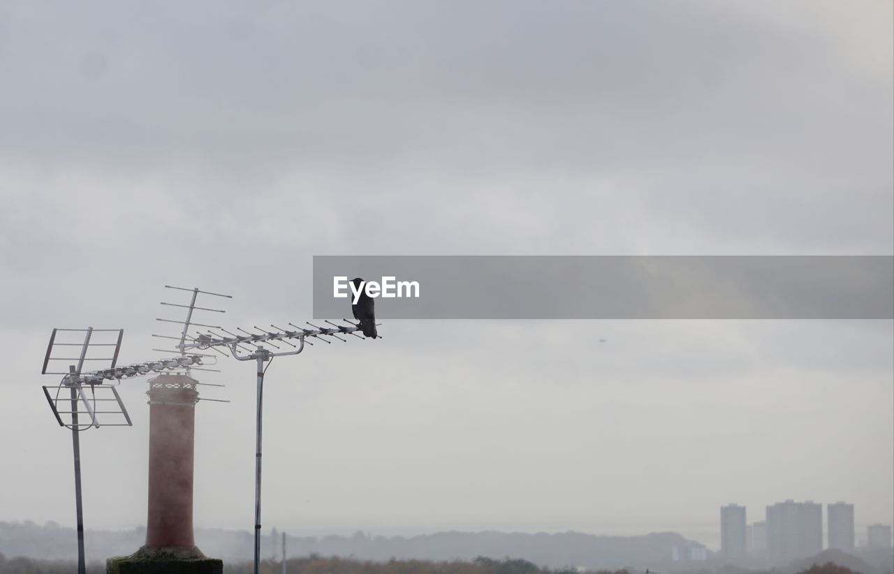 sky, architecture, built structure, wind, cloud, bird, animal themes, nature, building exterior, tower, no people, technology, animal, wildlife, animal wildlife, outdoors, day, building, communication, overcast, city, environment, landscape, one animal, copy space