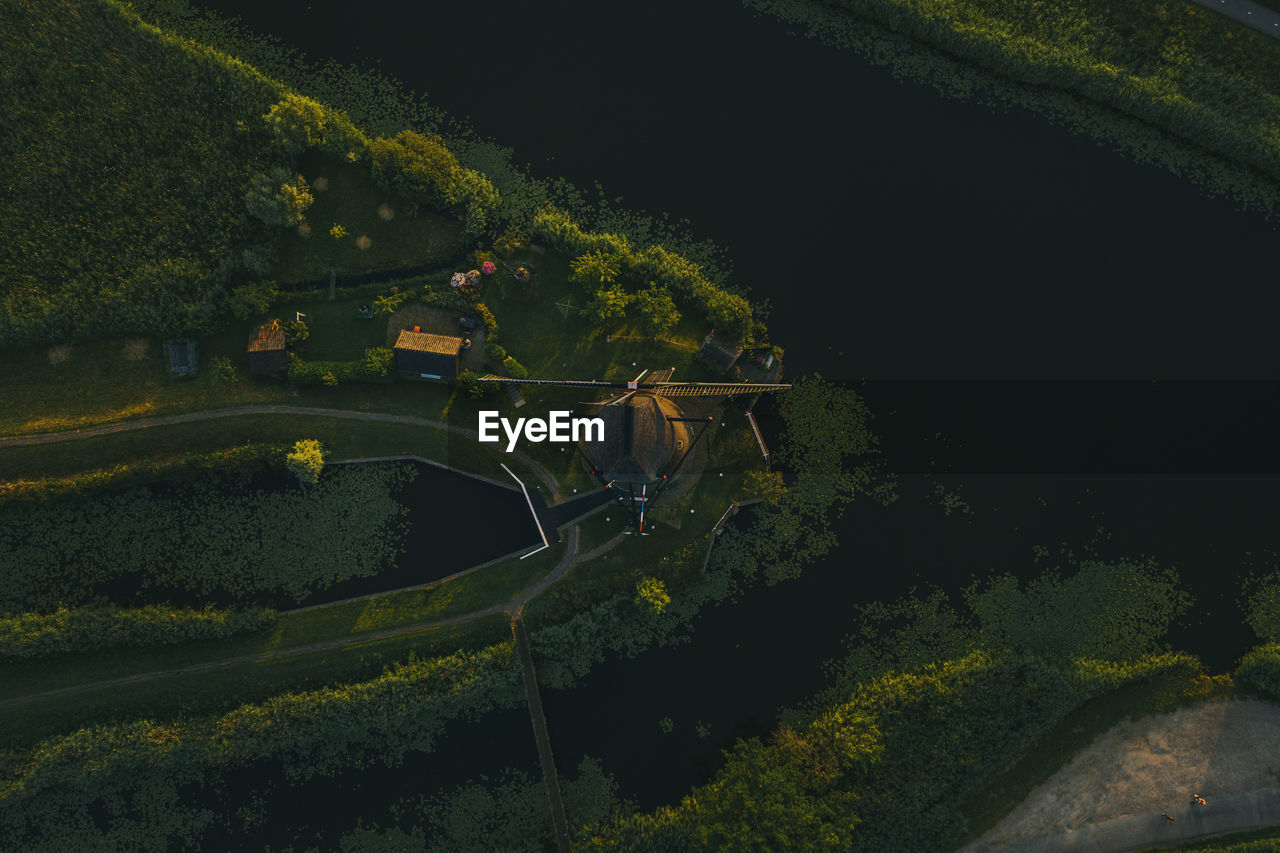 High angle view of road amidst trees