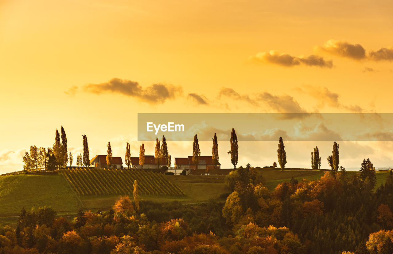 South styria vineyards landscape, tuscany of austria. sunrise in autumn. colorful trees