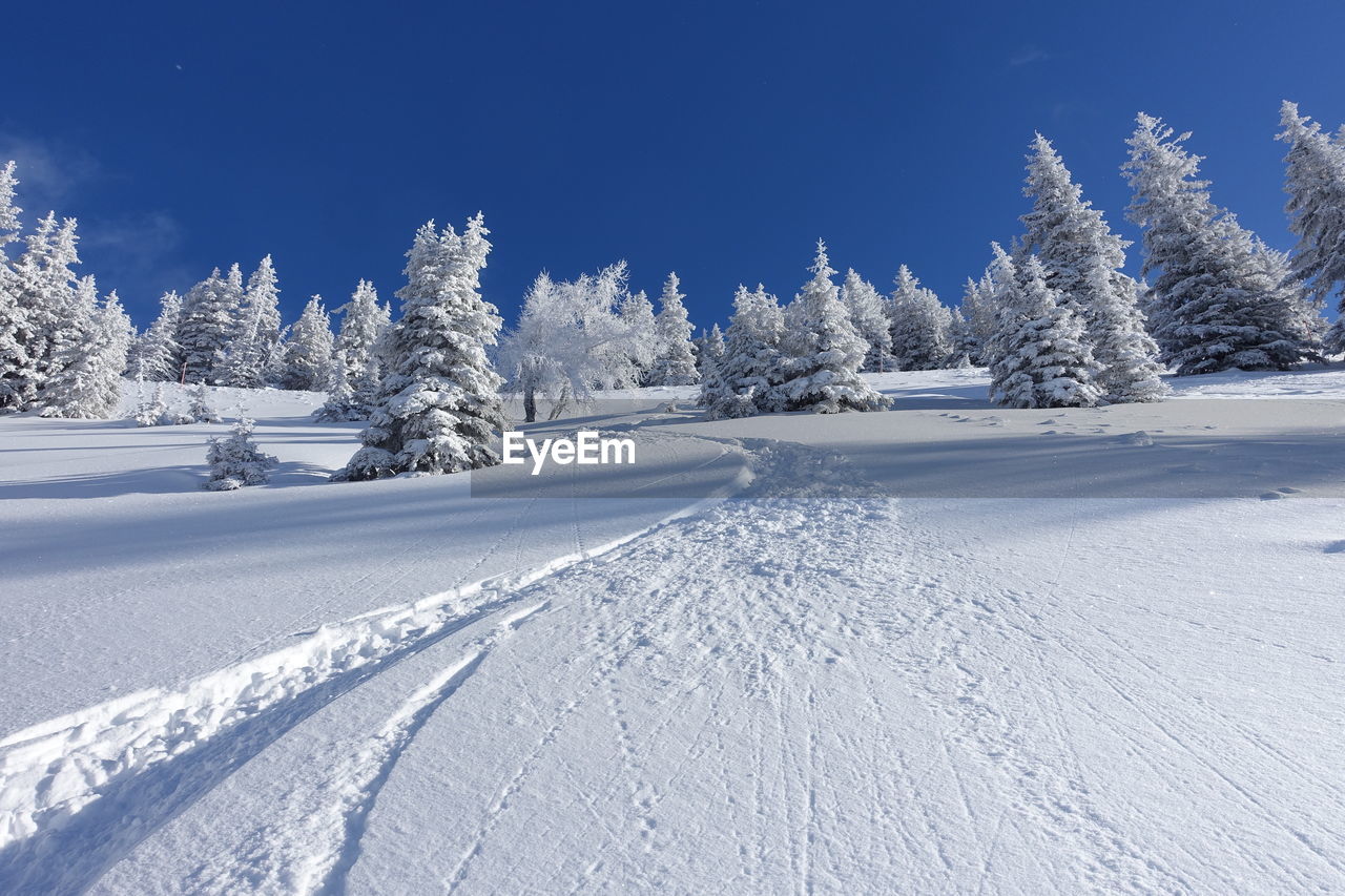 Snow covered field against sky