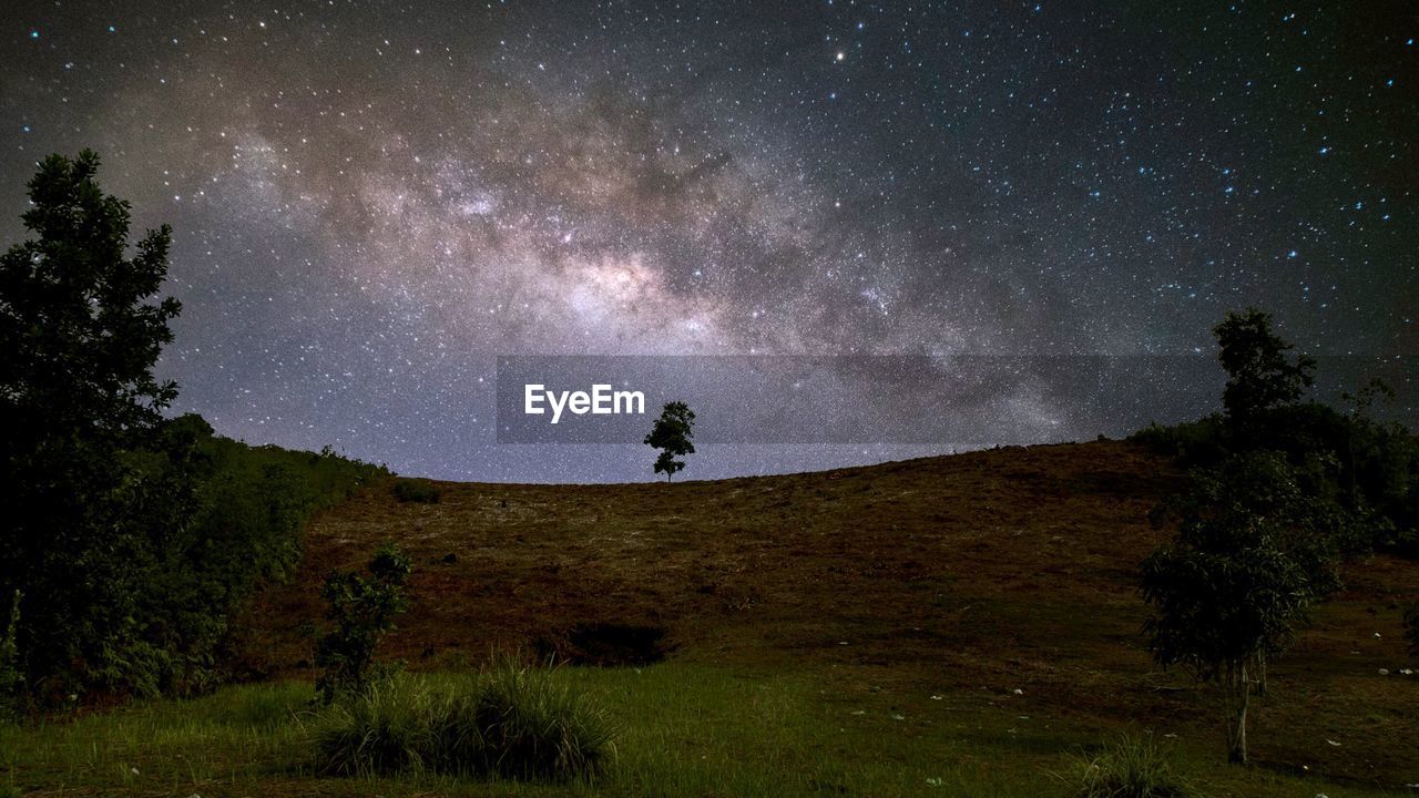 Scenic view of trees against sky at night