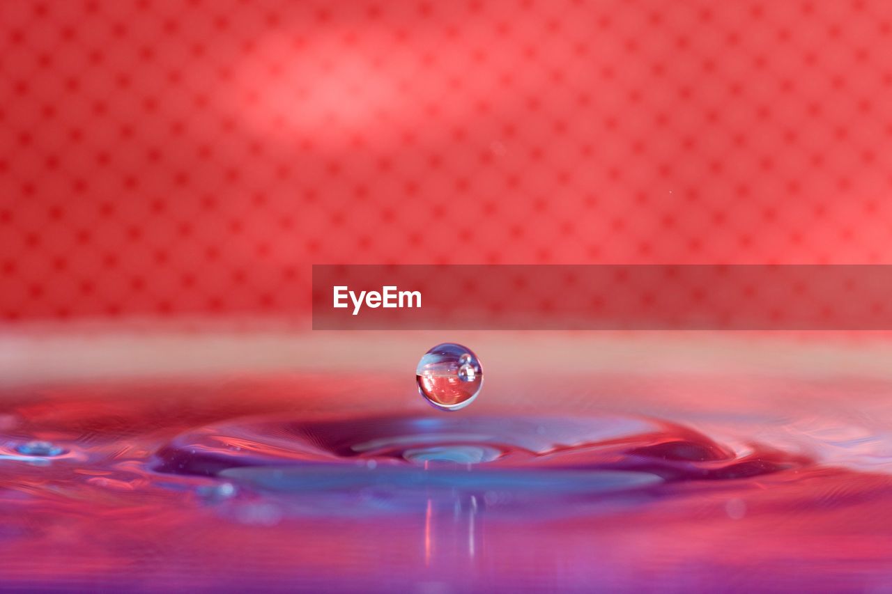 Close-up of water drop against pink background