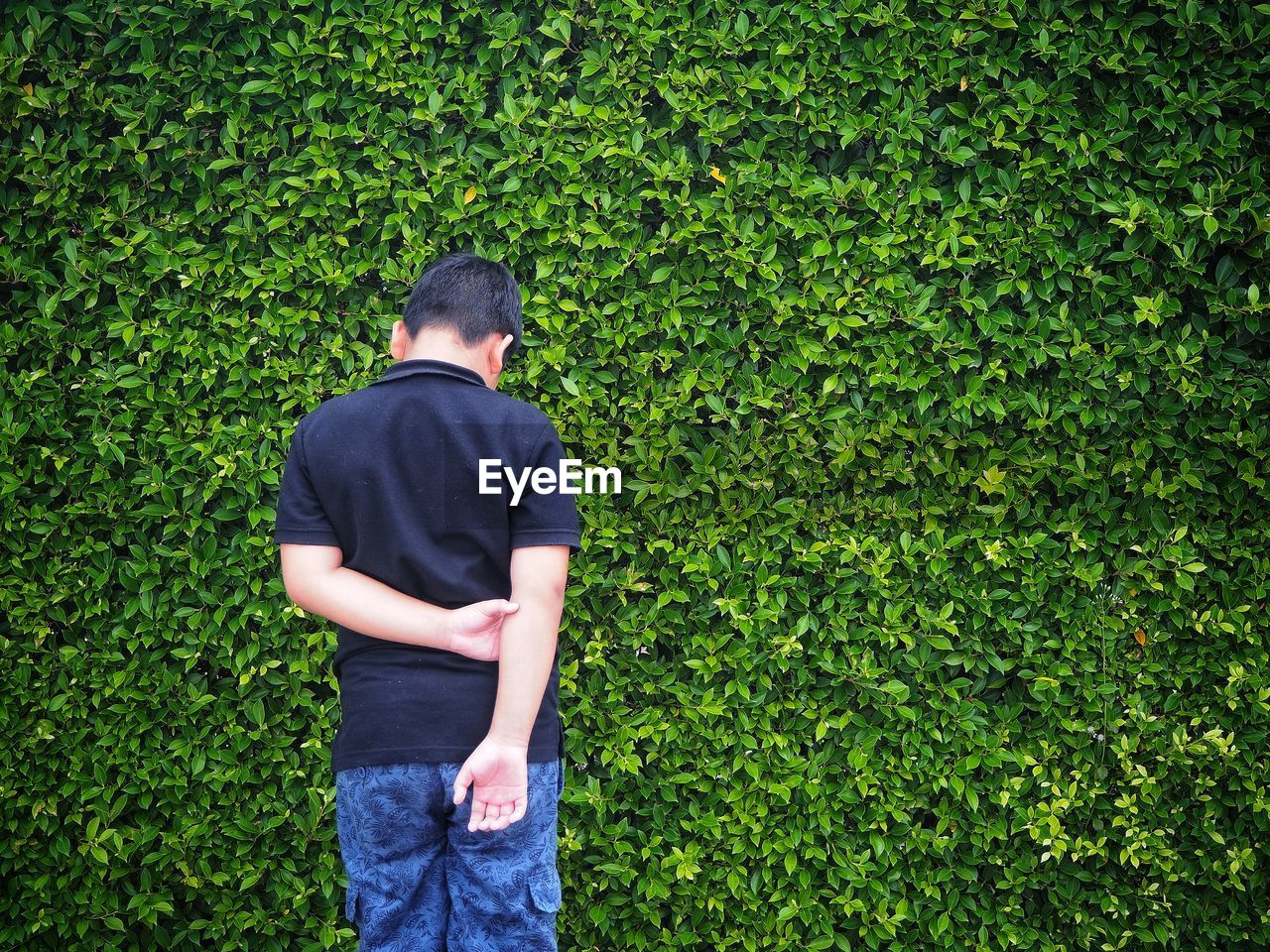 Rear view of boy standing against plants