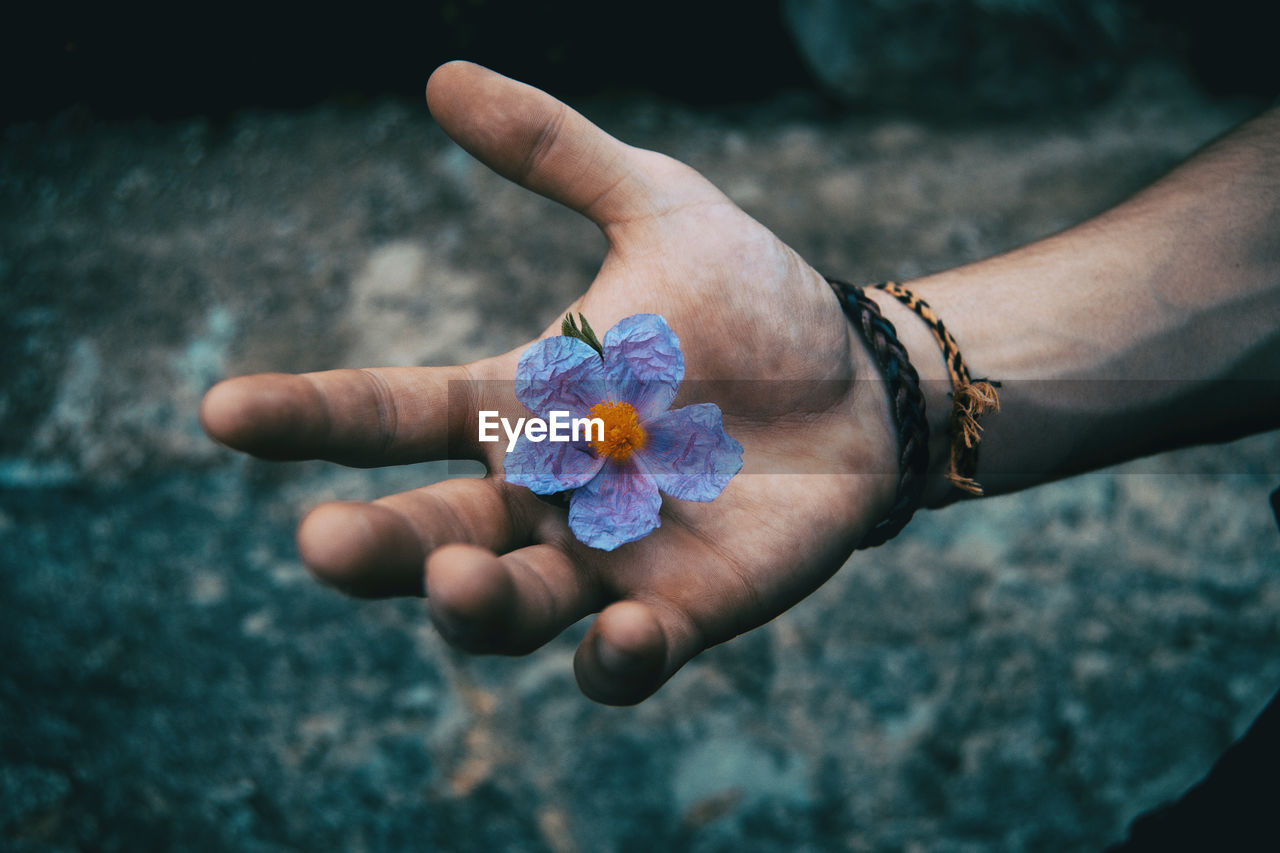 Close-up of man hand holding flower outdoors