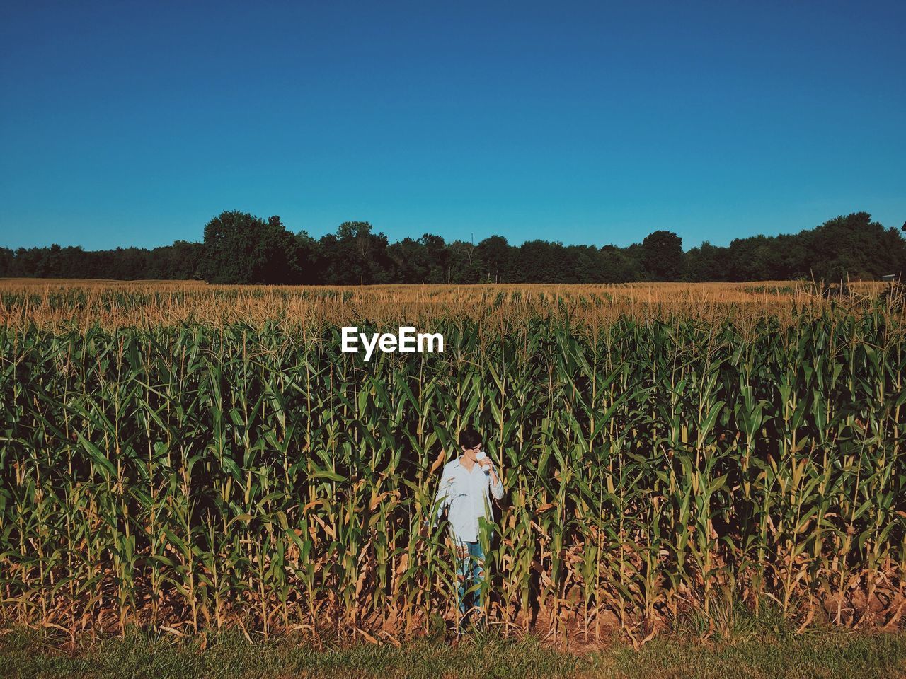 High angle view of woman standing on corn field against sky