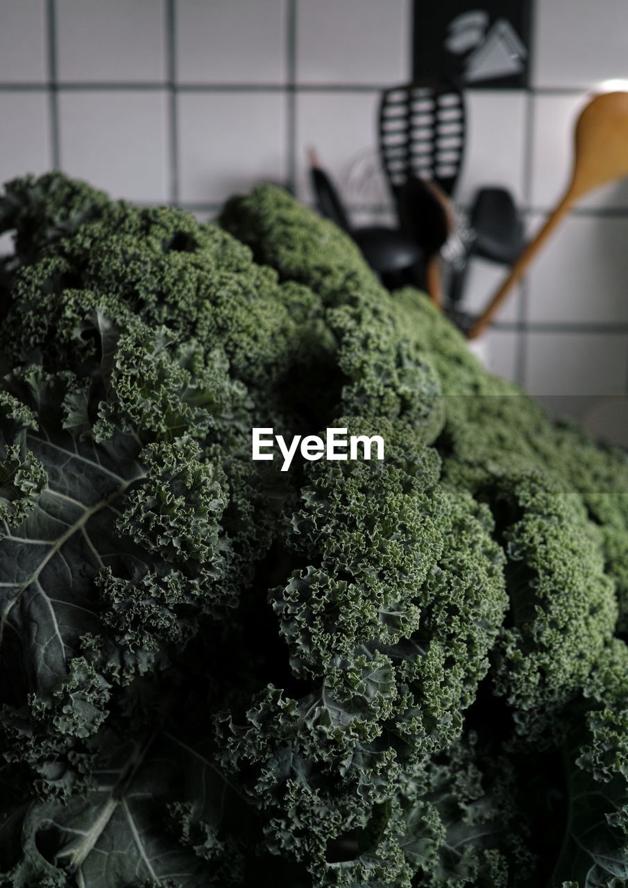 Close-up of kale in kitchen at home