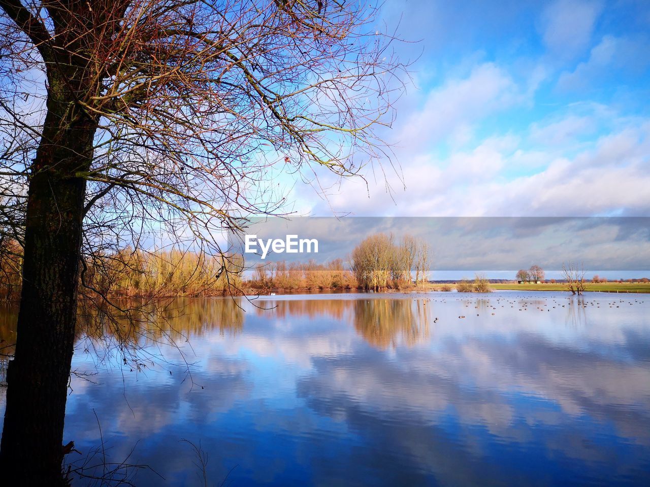 Scenic view of lake against sky