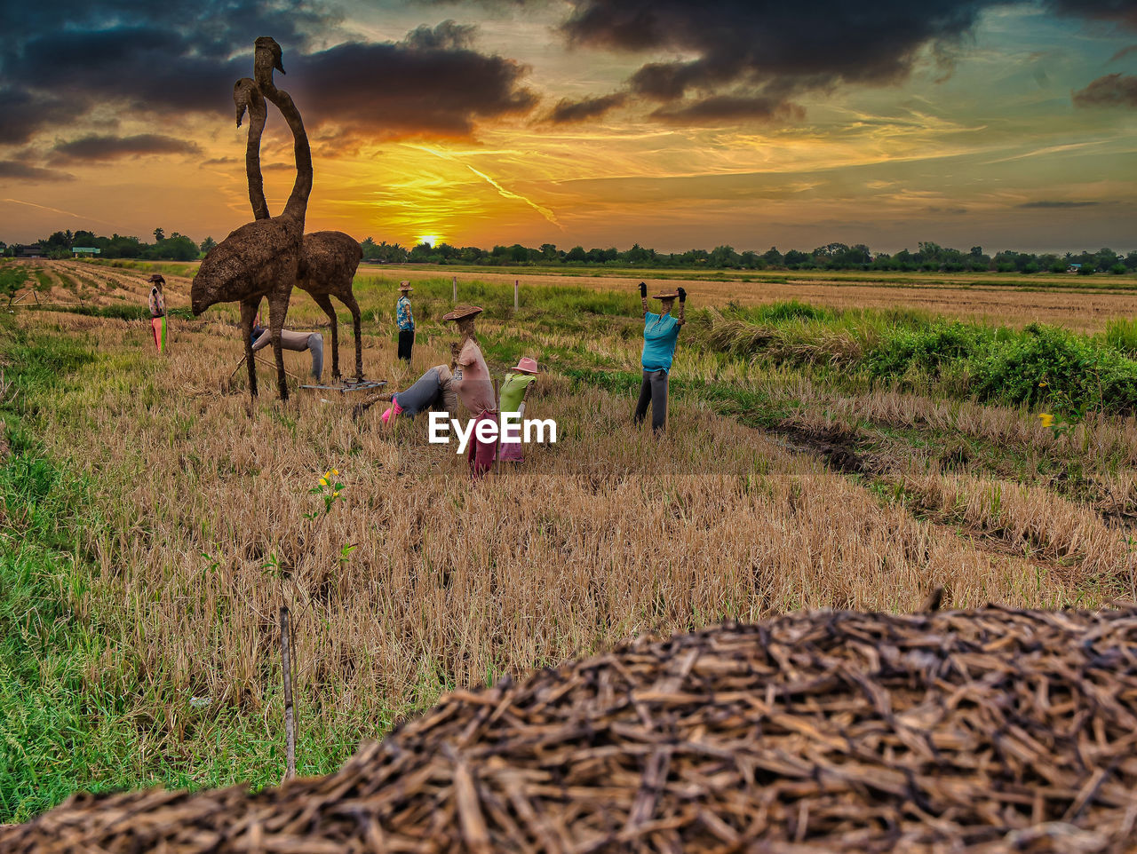 GROUP OF PEOPLE ON FIELD AGAINST SKY DURING SUNSET