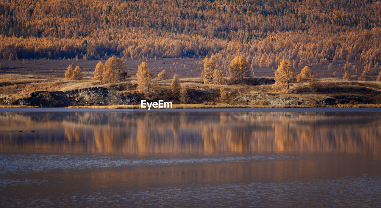 reflection, water, wilderness, scenics - nature, tree, river, beauty in nature, environment, nature, landscape, morning, plant, land, no people, tranquility, tranquil scene, forest, natural environment, dawn, non-urban scene, autumn, outdoors, mountain, travel destinations, travel, reservoir, day