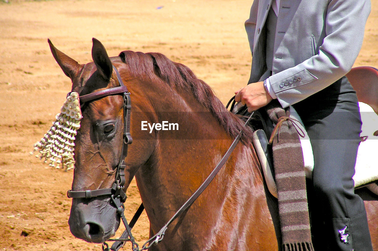 CLOSE-UP OF MAN RIDING HORSE ON GROUND