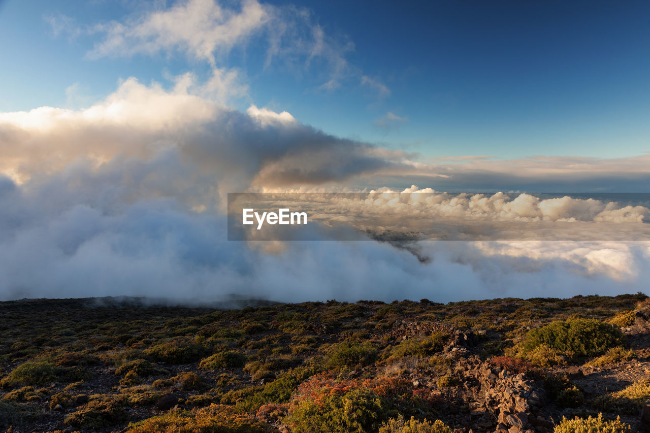 Scenic view of landscape against sky during sunset