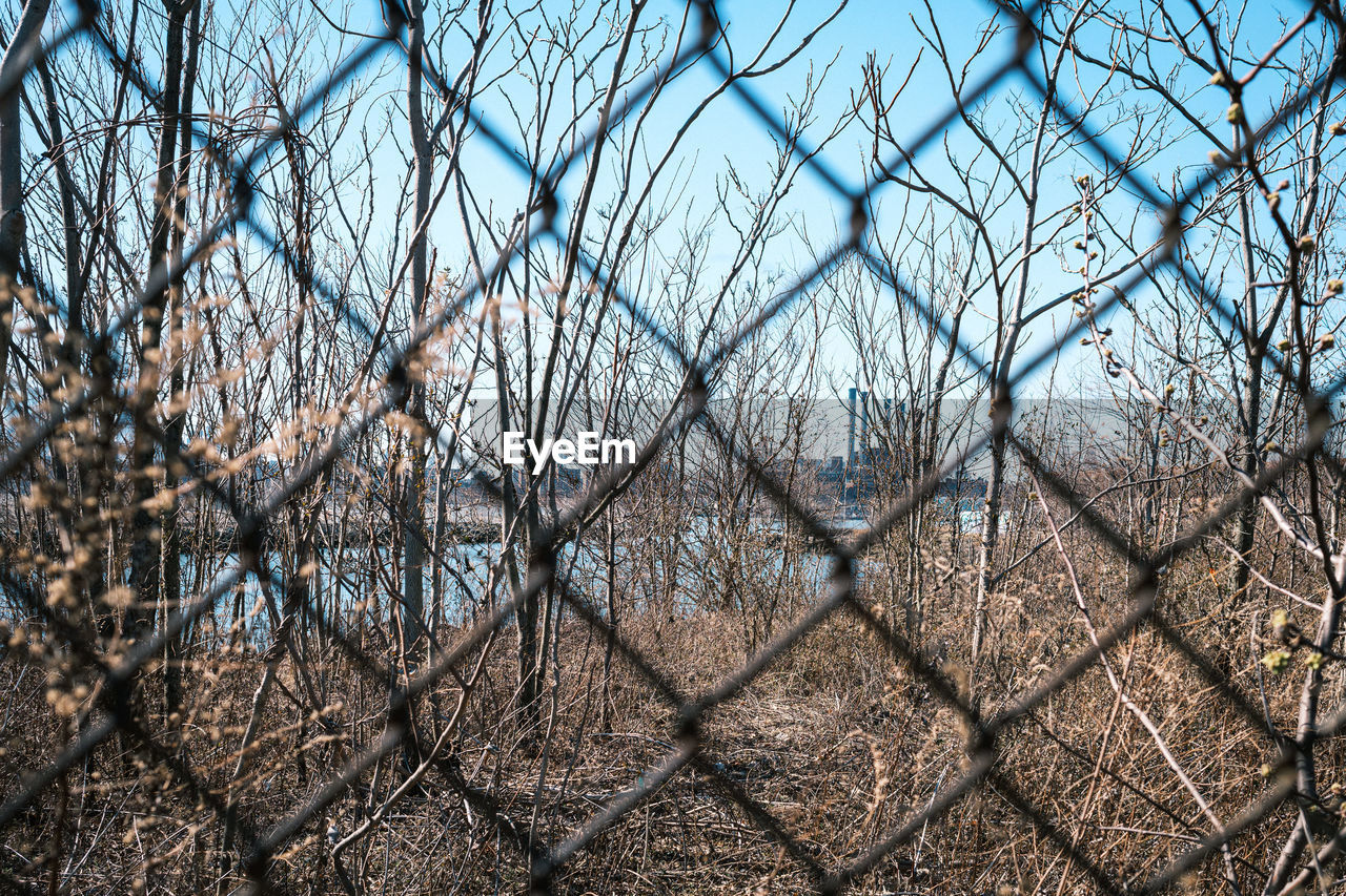 CLOSE-UP OF CHAINLINK FENCE AGAINST BARE TREE