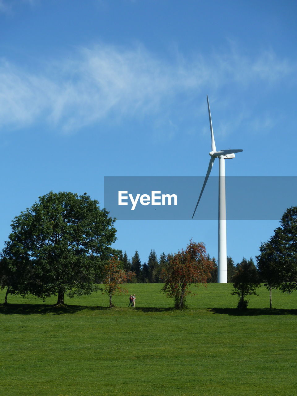 TREES ON GRASSY FIELD AGAINST SKY