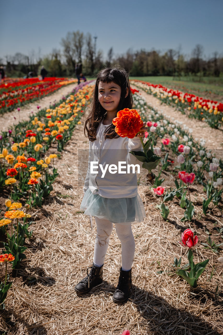 Girl in white top stands in tulip field holding big orange flower