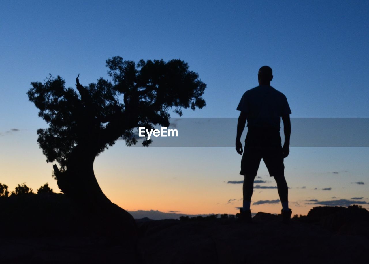 REAR VIEW OF SILHOUETTE MAN STANDING BY TREE AGAINST SKY