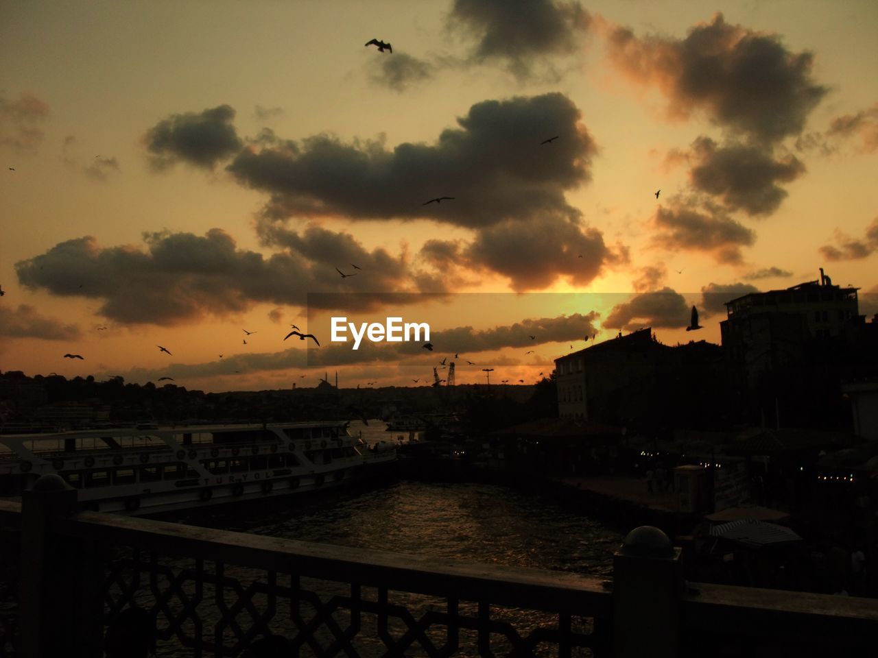 BIRDS FLYING OVER RIVER IN CITY AGAINST SKY