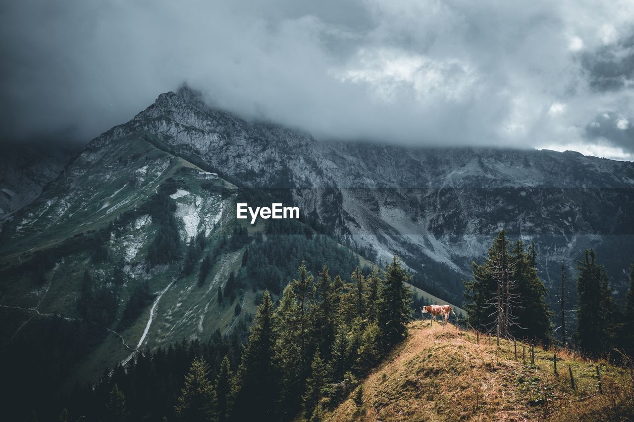 Scenic view of snowcapped mountains against cloudy sky